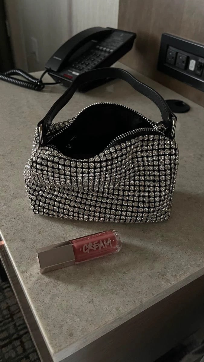 Shiny AW bag