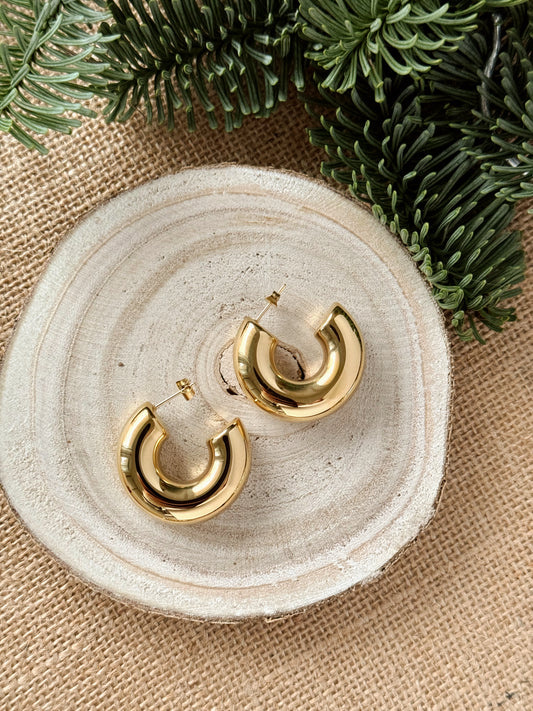 Thick hoops earrings