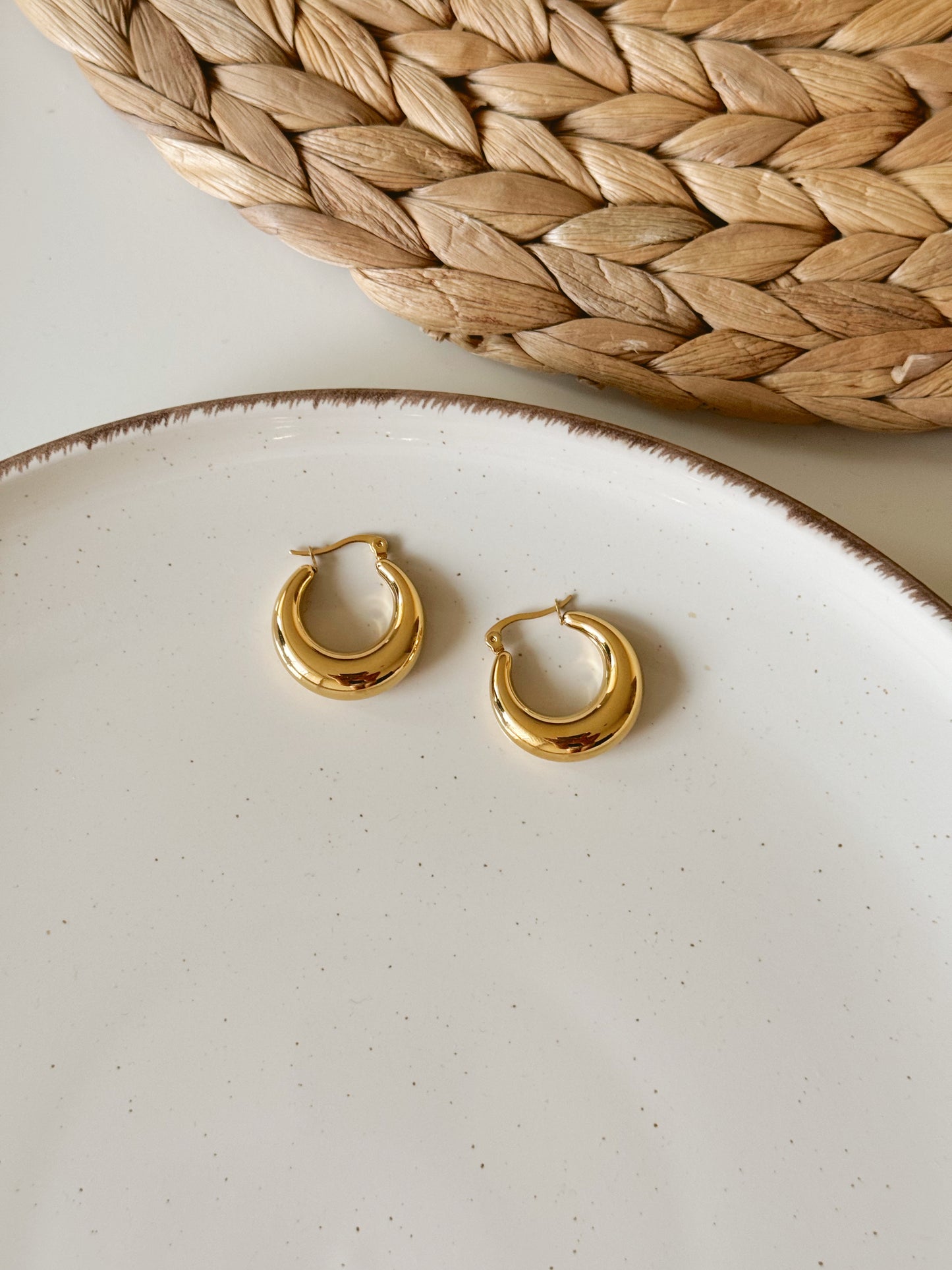 Classy hoops earrings