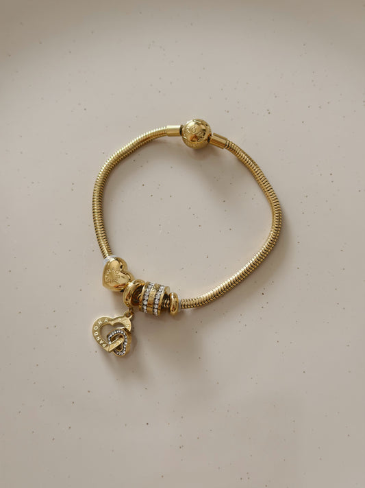Pandora charm bracelet