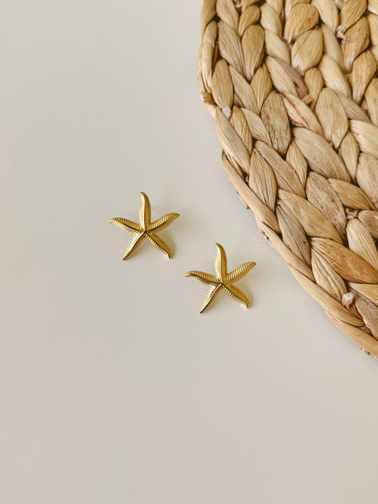 Starfish earrings