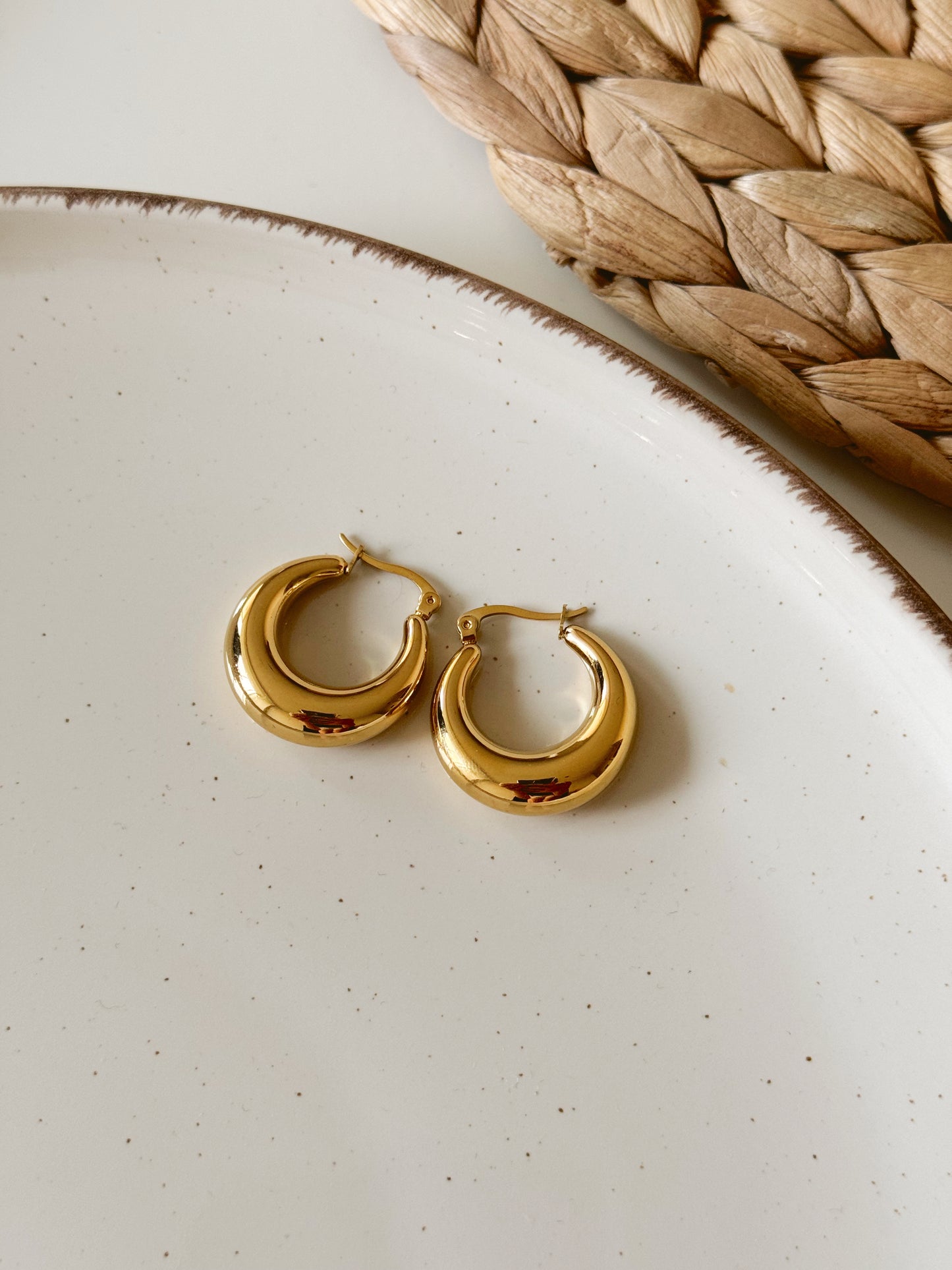 Classy hoops earrings