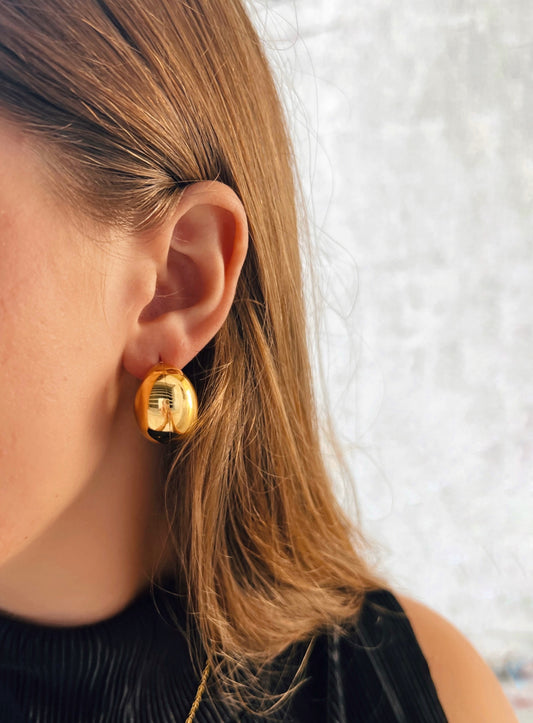 Bottega Veneta Earrings