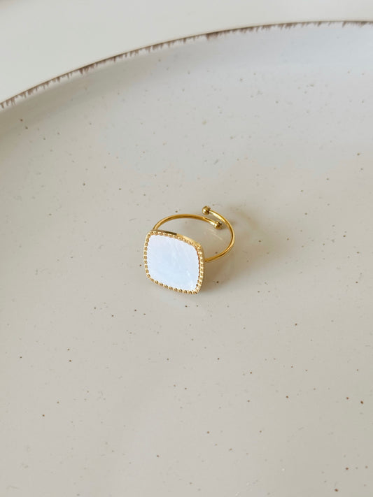 Shell plate adjustable ring