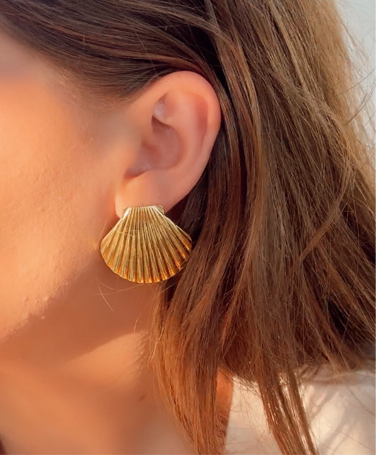 Seashell earrings
