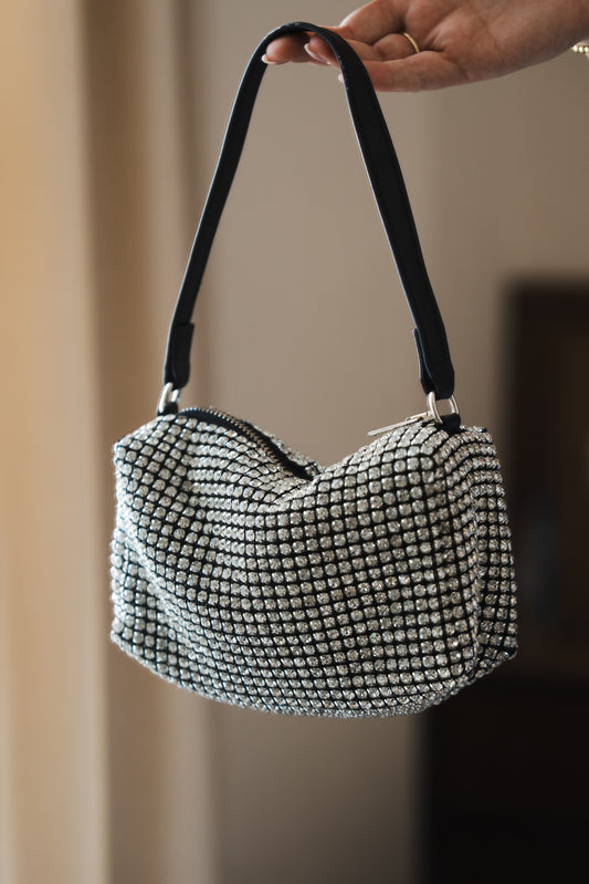Shiny AW bag