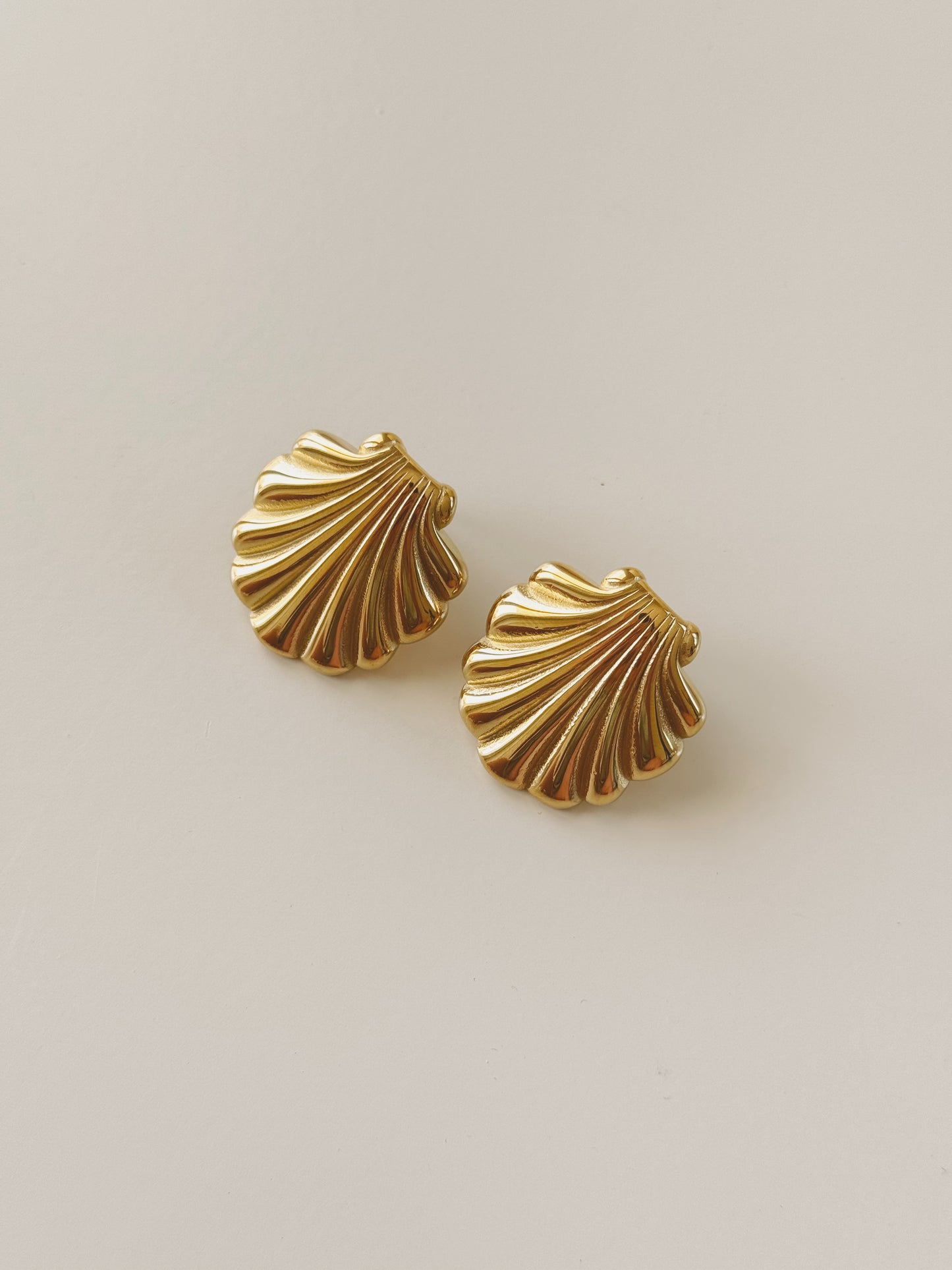 Bold Shell earrings