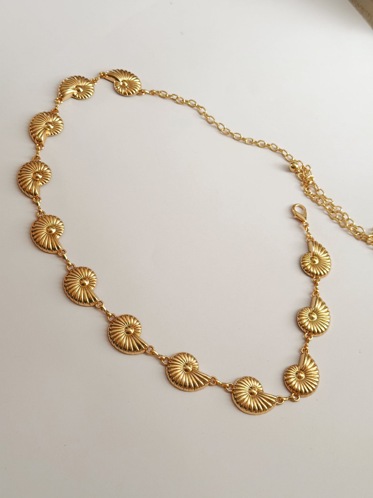 Shells waist belly chain